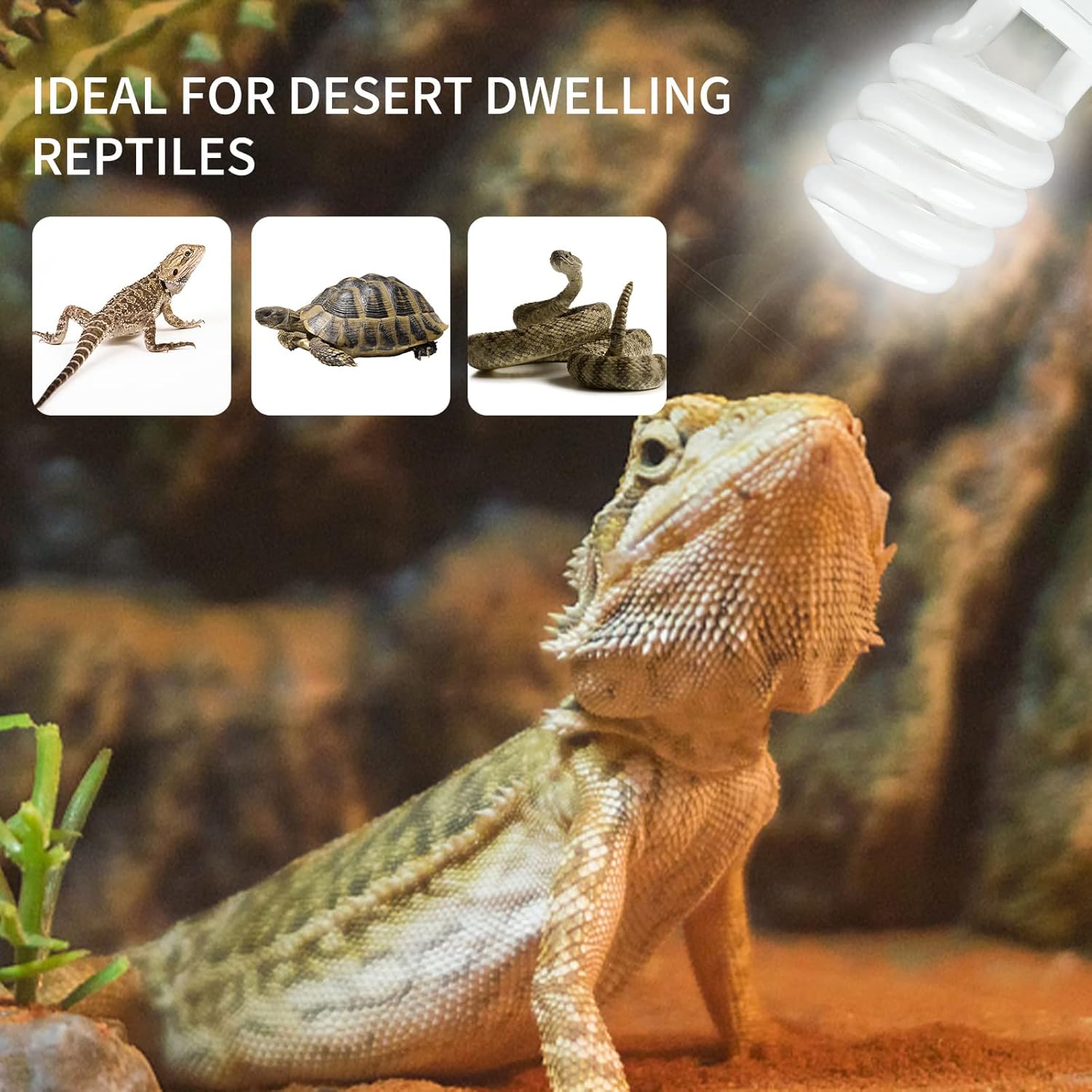UVB 5.0 10.0 Reptile Heating L - đánh giá và giá Ceramic Heat Emitter