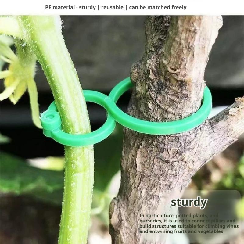 100 Pcs Plant Support Clips He - đánh giá và giá Vine Climbing Plastic