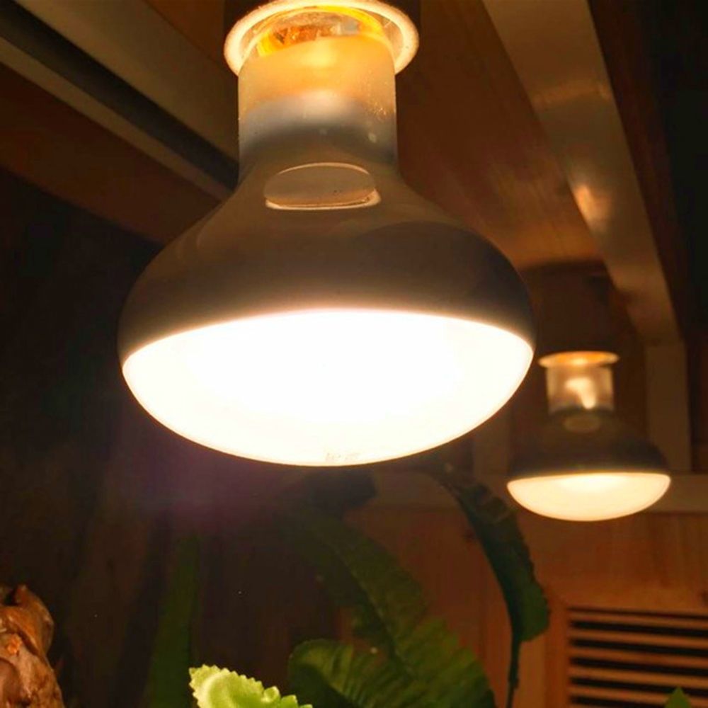 Amphibians Heater Heat Lamp UV - đánh giá và giá Basking Bulb Halogen