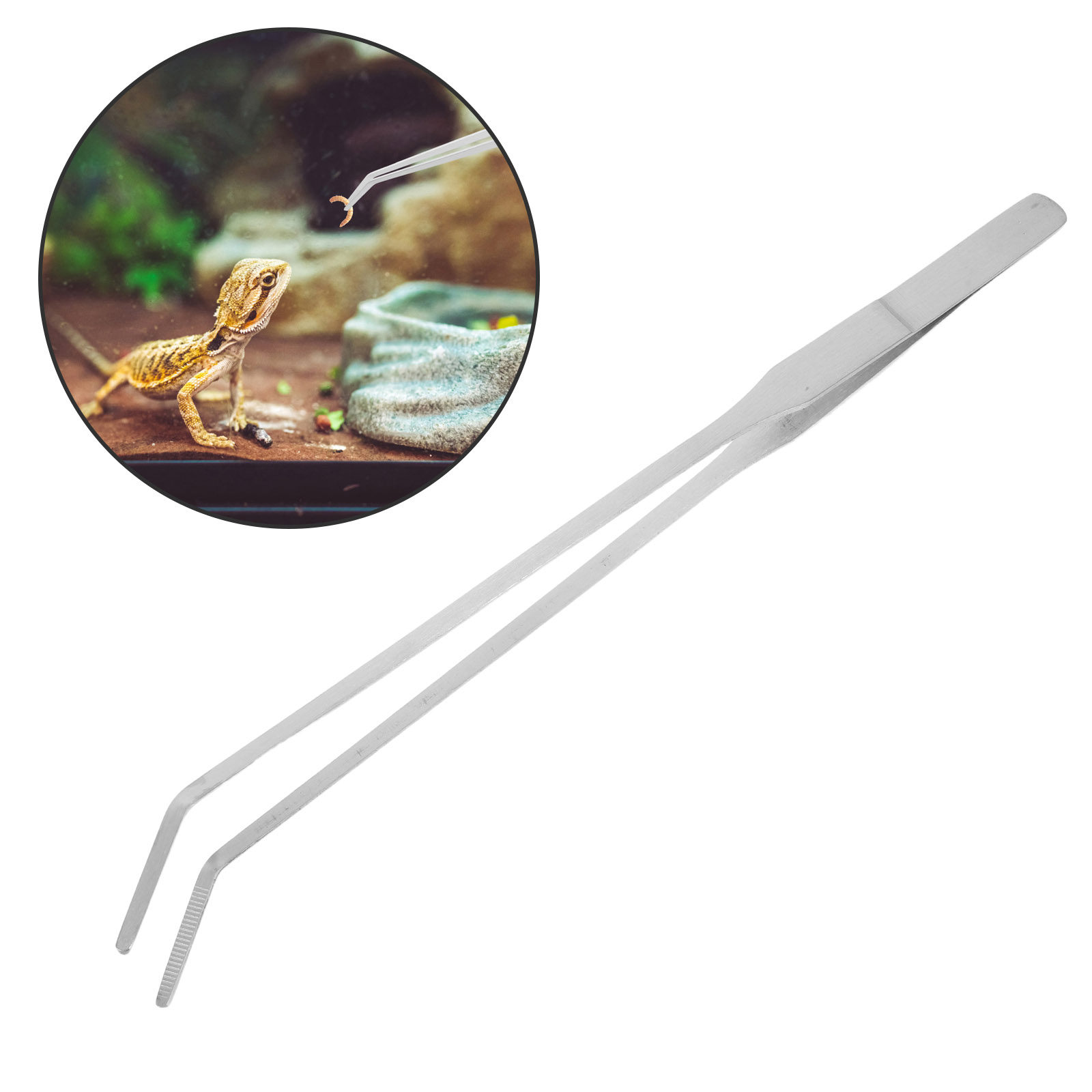 6Pcs Reptile Feeding Tong Stai - đánh giá và giá Feeding Tong Stainless