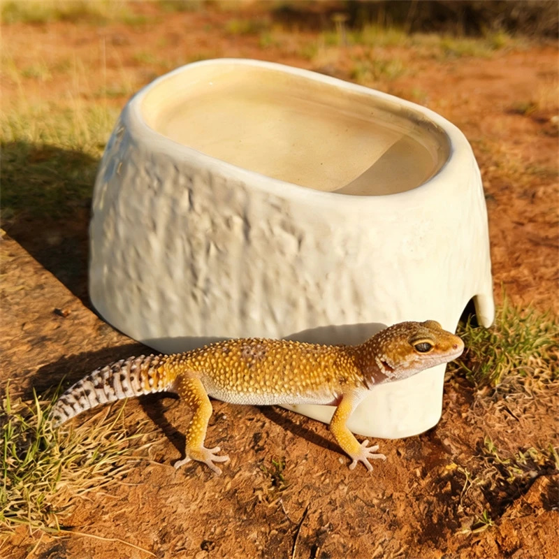 Ceramic Leopard Print Humid Hi - đánh giá và giá Hide Cave Ceramic