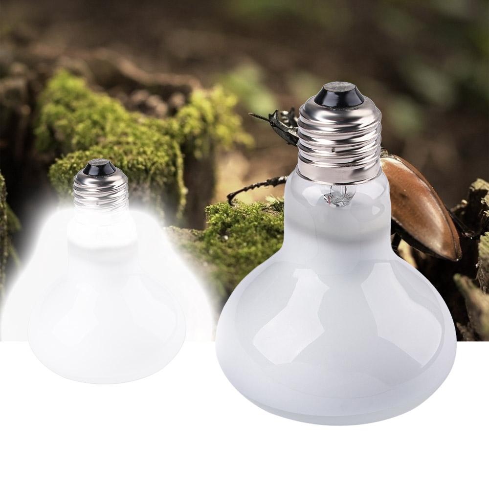 Turtle Heater Heat Lamp Reptil - đánh giá và giá Basking Bulb Halogen