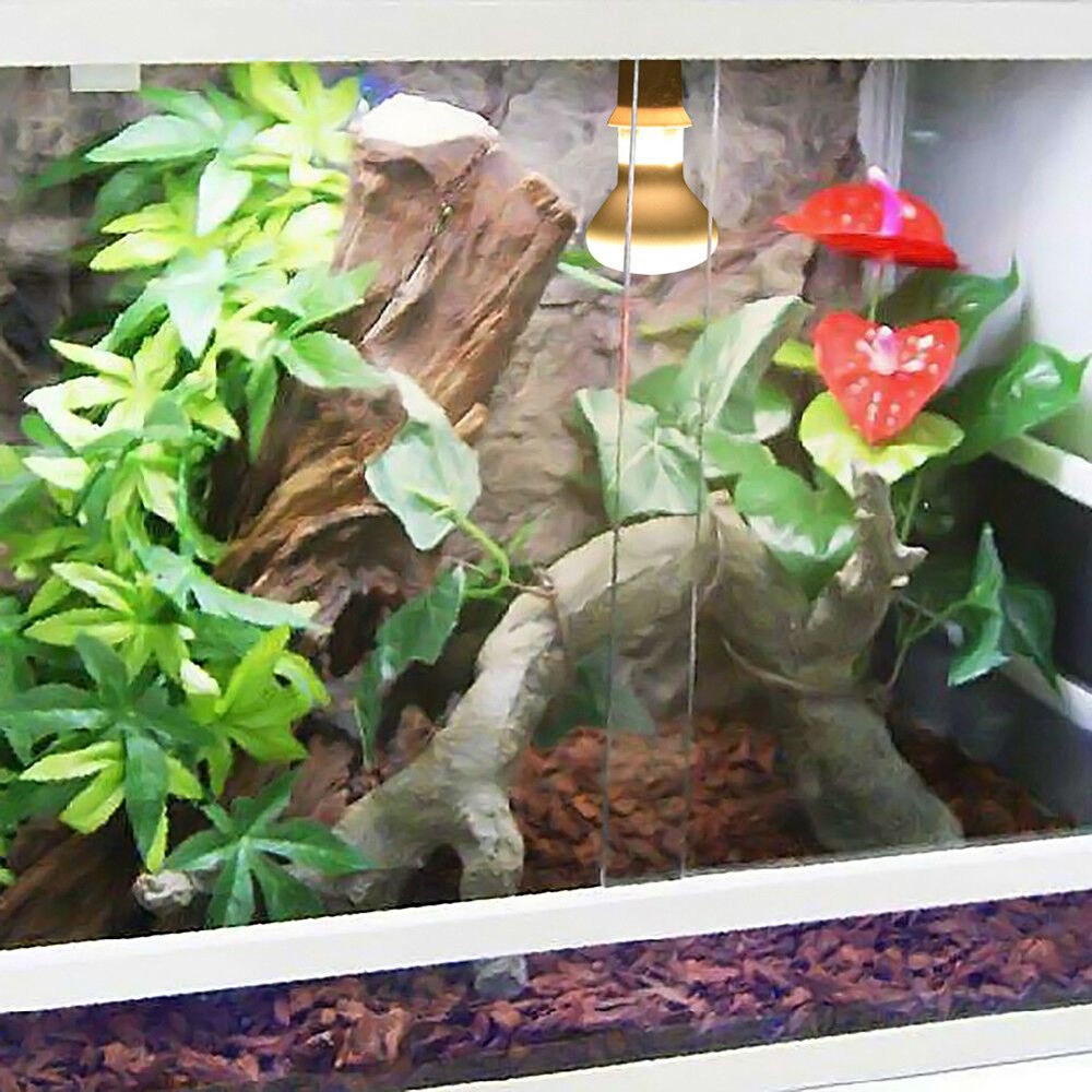 Turtle Heater Heat Lamp Baskin - đánh giá và giá Basking Bulb Halogen
