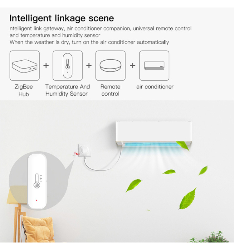 eWeLink Smart ZigBee Temperatu - đánh giá và giá Digital Hygrometer Probe