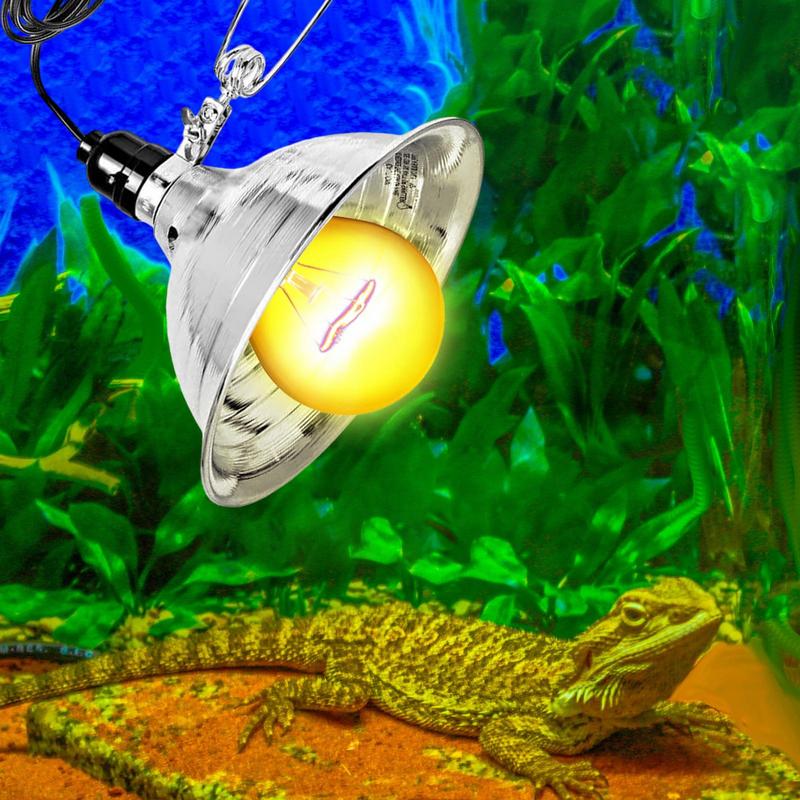 Reptile Lamp Set Lighting 300W - đánh giá và giá Ceramic Heat Emitter