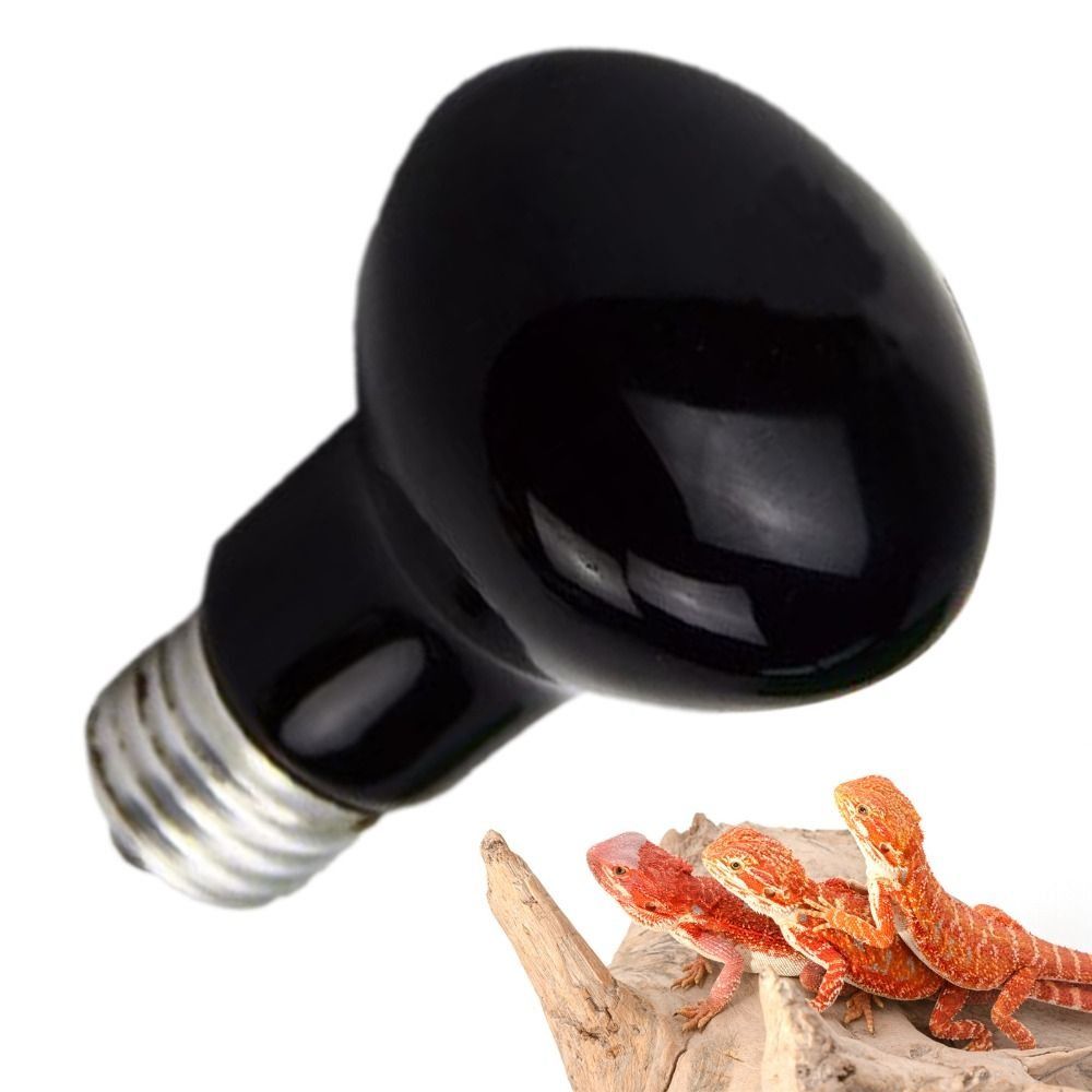 Durable UVA Led Pet Heating La - đánh giá và giá Ceramic Heat Emitter