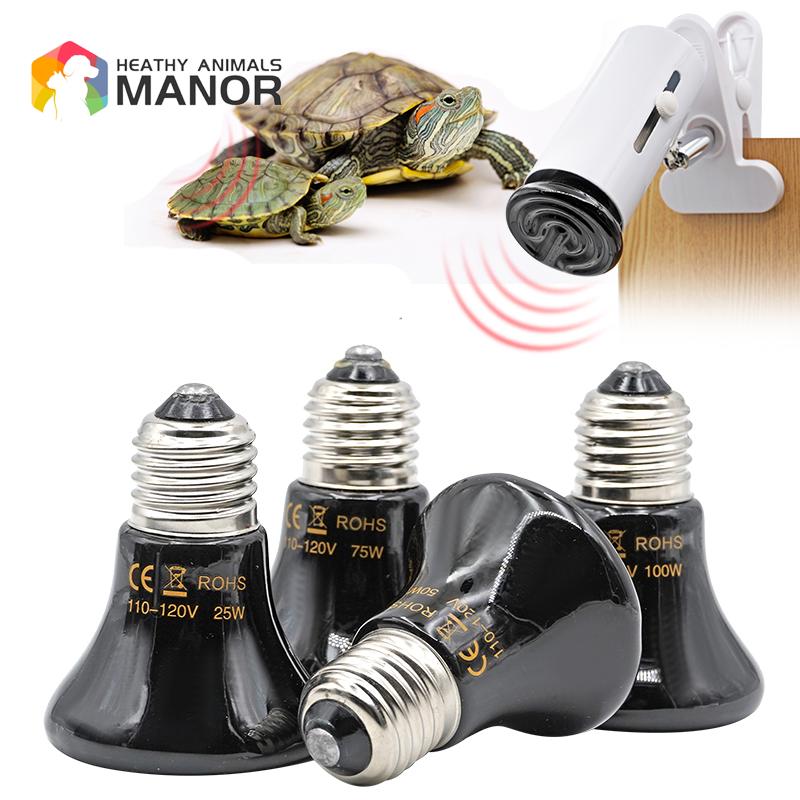 Thú Cưng Đèn Sưởi Thằn Lằn Rùa - đánh giá và giá Ceramic Heat Emitter