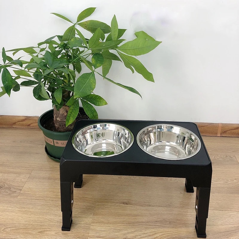 Adjustable Elevated Dog Feeder - đánh giá và giá Royal Canin Food Medium