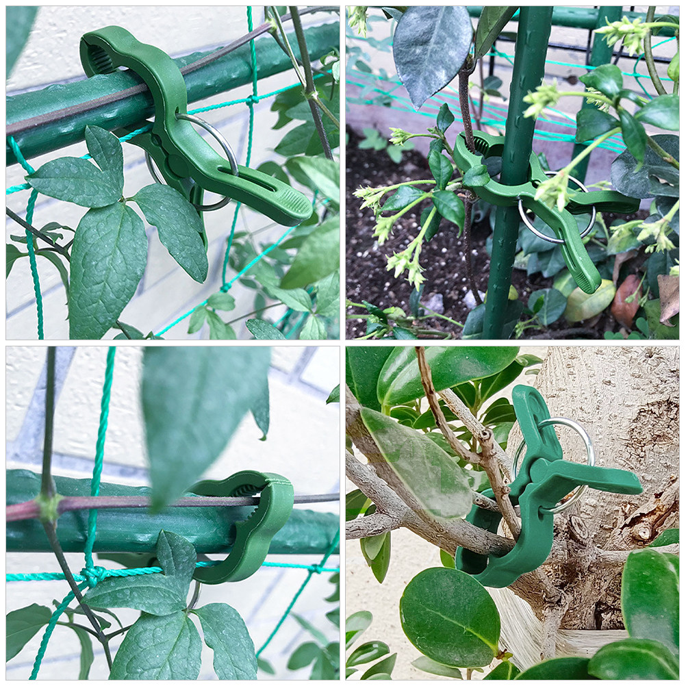 60Pcs Plastic Plant Support Cl - đánh giá và giá Vine Climbing Plastic